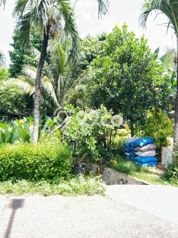 Tanah Kavling Dijual di Jakarta Barat dengan Spesifikasi 1550m2 Tanah Kavling Dijual di Jakarta Barat dengan Spesifikasi 1550m2