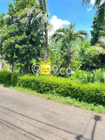 Tanah Kavling Dijual di Jakarta Barat dengan Spesifikasi 1550m2 Tanah Kavling Dijual di Jakarta Barat dengan Spesifikasi 1550m2