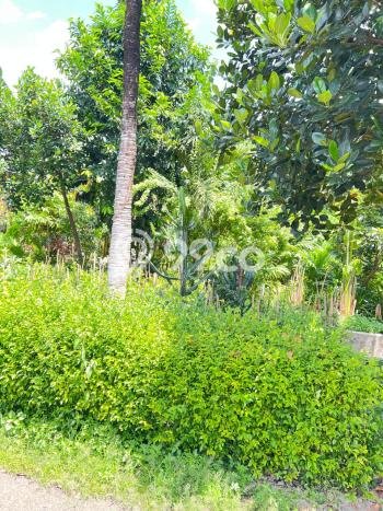 Tanah Kavling Dijual di Jakarta Barat dengan Spesifikasi 1550m2 Tanah Kavling Dijual di Jakarta Barat dengan Spesifikasi 1550m2