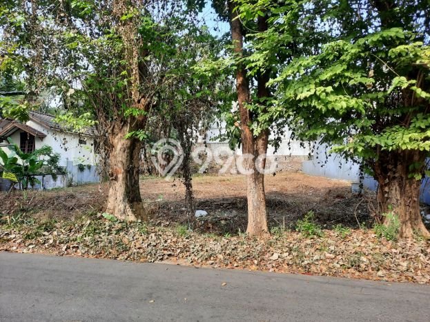 Tanah Dijual Lokasi Gajah Mungkur Semarang SHM Tanah Dijual Lokasi Gajah Mungkur Semarang SHM