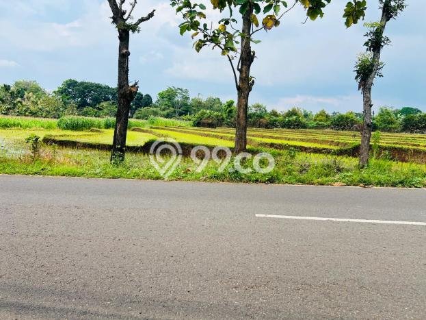 Untuk Dijual Tanah di Surakarta, Luas 4000m2 SHM Untuk Dijual Tanah di Surakarta, Luas 4000m2 SHM