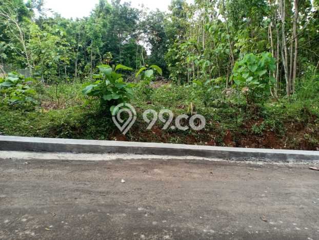 HARGA MENARIK! Tanah di Kedawung, Luas 500m², Lingkungan Asri, Bebas Banjir HARGA MENARIK! Tanah di Kedawung, Luas 500m², Lingkungan Asri, Bebas Banjir