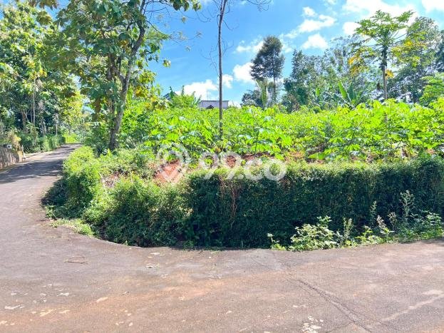 Tanah Dijual Lokasi Mojogedang, Karanganyar dengan Luas Tanah 794m2 dan Status SHM Tanah Dijual Lokasi Mojogedang, Karanganyar dengan Luas Tanah 794m2 dan Status SHM
