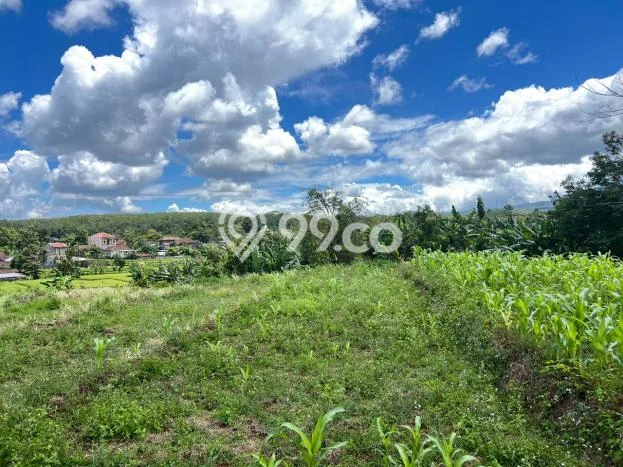 Jarang Ada! Tanah di Kerjo Punya Luas 3169m2 SHM Jarang Ada! Tanah di Kerjo Punya Luas 3169m2 SHM