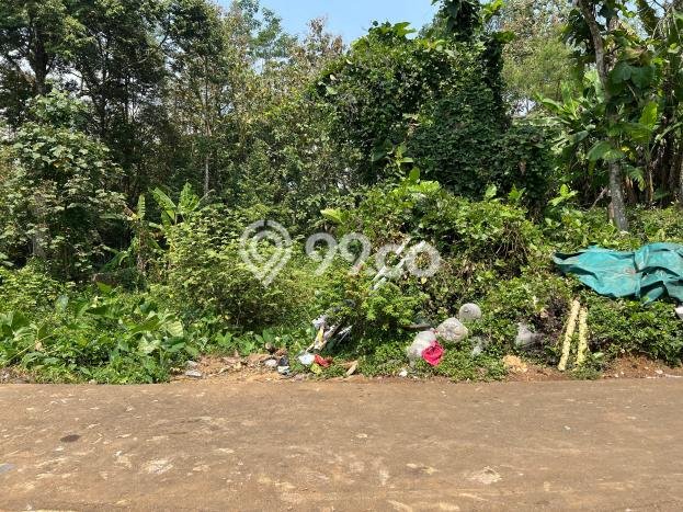 HARGA TERBAIK! Tanah di Kerjo, Luas 2900m², Lokasi Strategis HARGA TERBAIK! Tanah di Kerjo, Luas 2900m², Lokasi Strategis