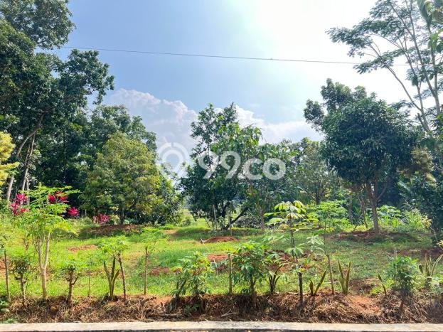 Tanah Kosong Dijual di Karanganyar dengan Area 1000m2 Tanah Kosong Dijual di Karanganyar dengan Area 1000m2