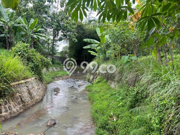 Kavling Tanah di Kerjo Dijual Luas 800m2 Legalitas SHM Kavling Tanah di Kerjo Dijual Luas 800m2 Legalitas SHM