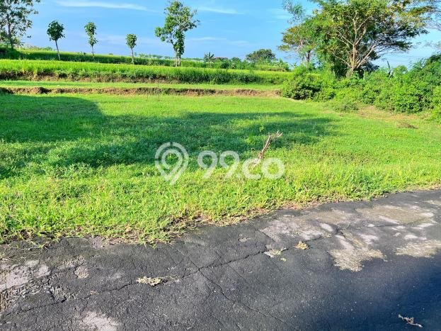 Tanah Area Potensial di Mojogedang, Luas 790m2m², Kawasan Asri, Akses Mojogedang, Karanganyar, Karanganyar Tanah Area Potensial di Mojogedang, Luas 790m2m², Kawasan Asri, Akses Mojogedang, Karanganyar, Karanganyar