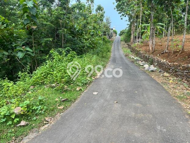 Tanah Dijual Lokasi Sambirejo, Sragen Luas 1175m2 Legalitas Aman Tanah Dijual Lokasi Sambirejo, Sragen Luas 1175m2 Legalitas Aman
