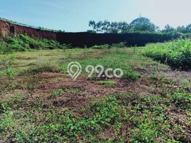 Tanah Area Berkembang Kawasan Kedawung, Luas 740m², Dekat ke Fasilitas, Lingkungan Nyaman Tanah Area Berkembang Kawasan Kedawung, Luas 740m², Dekat ke Fasilitas, Lingkungan Nyaman