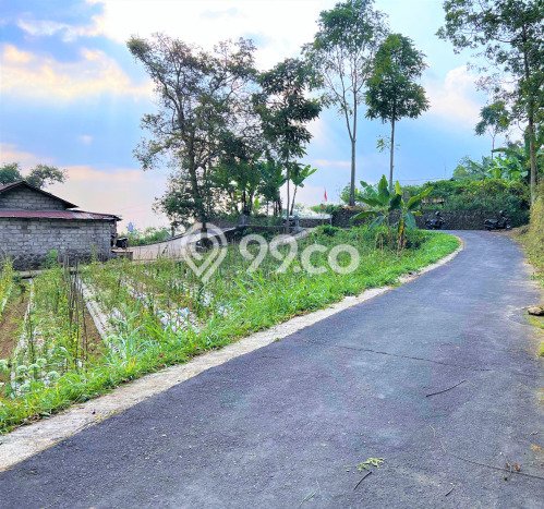 Jarang Ada! Tanah di Ngargoyoso Punya Luas 505m2 SHM Jarang Ada! Tanah di Ngargoyoso Punya Luas 505m2 SHM