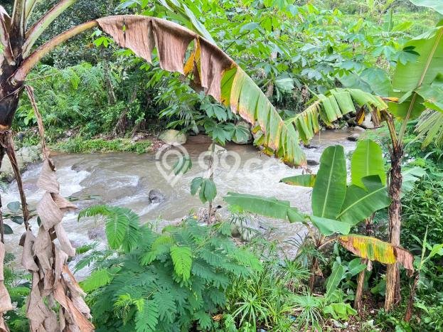 Tanah untuk Dijual Lokasi Jenawi, Karanganyar Luas 750m2 SHM Tanah untuk Dijual Lokasi Jenawi, Karanganyar Luas 750m2 SHM