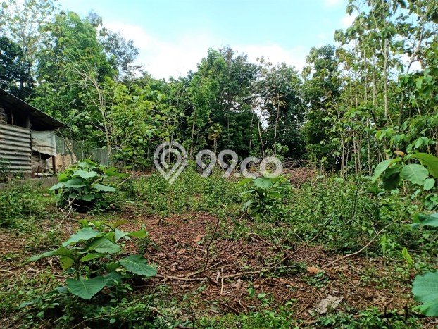 HARGA MENARIK! Tanah di Kedawung, Luas 500m², Lingkungan Asri, Bebas Banjir HARGA MENARIK! Tanah di Kedawung, Luas 500m², Lingkungan Asri, Bebas Banjir