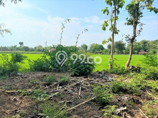 Tanah di Kedawung, Luas 494m², Akses Strategis, Area Berkembang Tanah di Kedawung, Luas 494m², Akses Strategis, Area Berkembang