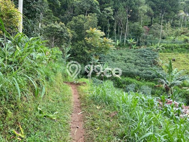 Tanah Dijual Lokasi Jenawi, Karanganyar dengan Luas Tanah 2243m2 dan Status SHM Tanah Dijual Lokasi Jenawi, Karanganyar dengan Luas Tanah 2243m2 dan Status SHM
