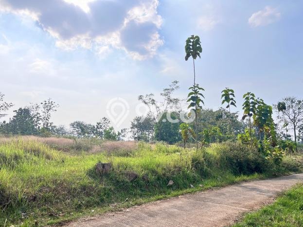 HARGA MENARIK! Tanah Kawasan Karanganyar, Luas 8285m2m², Kawasan Potensial, Bebas Longsor HARGA MENARIK! Tanah Kawasan Karanganyar, Luas 8285m2m², Kawasan Potensial, Bebas Longsor
