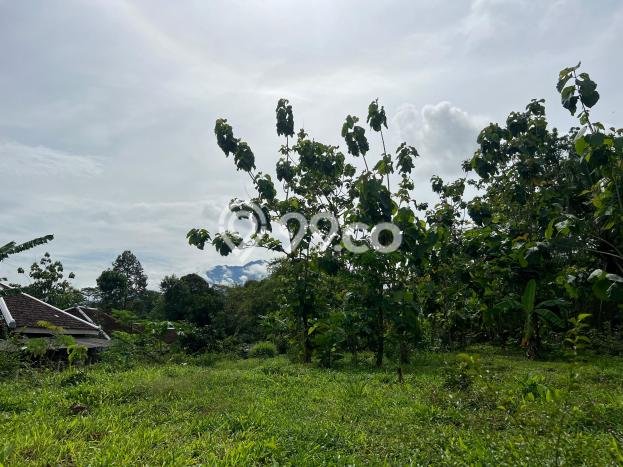 Tanah Area Prospektif di Kerjo, Luas 700m2m², Akses ke Fasilitas Umum, Dekat Kerjo, Karanganyar, Karanganyar Tanah Area Prospektif di Kerjo, Luas 700m2m², Akses ke Fasilitas Umum, Dekat Kerjo, Karanganyar, Karanganyar
