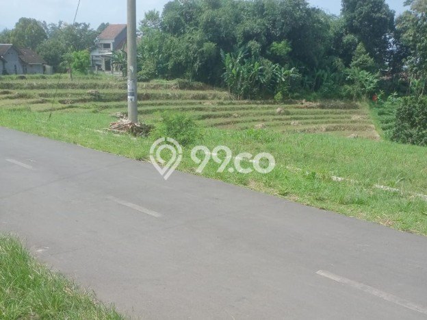 Untuk Dijual Tanah di Kerjo Karanganyar Luas 1370m2 SHM Untuk Dijual Tanah di Kerjo Karanganyar Luas 1370m2 SHM