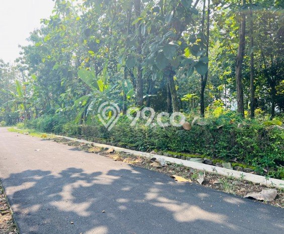 Kavling Tanah di Mojogedang Dijual Luas 1700m2 Legalitas SHM Kavling Tanah di Mojogedang Dijual Luas 1700m2 Legalitas SHM