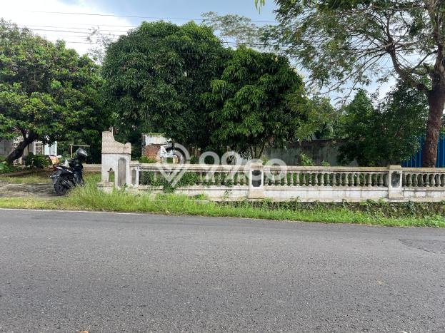 Lahan Investasi Lokasi Karanganyar Karanganyar SHM Lahan Investasi Lokasi Karanganyar Karanganyar SHM