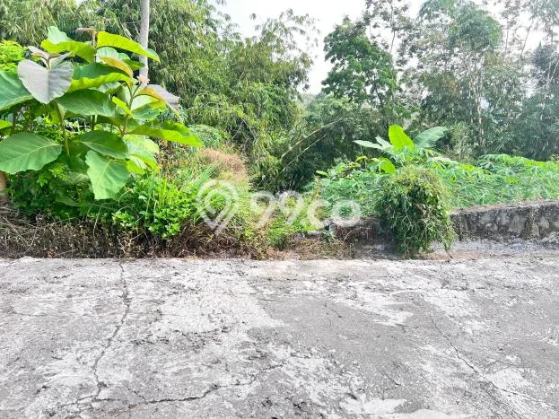 Tanah Komersial di Karangpandan, Luas 6000m2m², Akses Mudah Tanah Komersial di Karangpandan, Luas 6000m2m², Akses Mudah