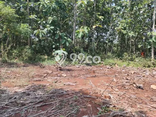 Jual Tanah di Karanganyar, Luas 1100m2m², Lingkungan Asri, Kontur Datar Jual Tanah di Karanganyar, Luas 1100m2m², Lingkungan Asri, Kontur Datar