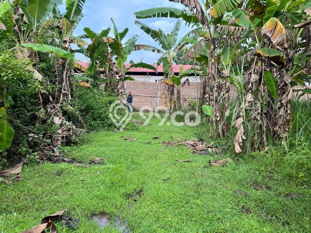 Kavling Tanah di Sragen Dijual Luas 240m2 Legalitas SHM Kavling Tanah di Sragen Dijual Luas 240m2 Legalitas SHM