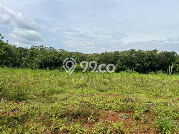 Kavling Tanah Dijual di Kerjo, Karanganyar, Luas 8000m2 Area Strategis Kavling Tanah Dijual di Kerjo, Karanganyar, Luas 8000m2 Area Strategis