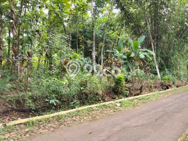 Kavling Tanah Dijual di Mojogedang Karanganyar Spesifikasi 1000m2 Kavling Tanah Dijual di Mojogedang Karanganyar Spesifikasi 1000m2