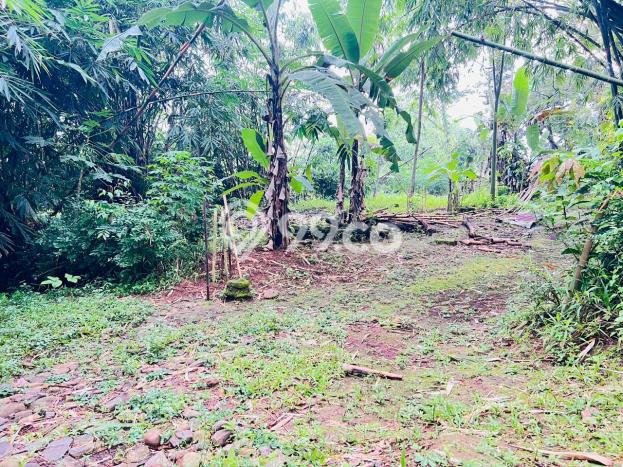Kavling Tanah Dijual di Karanganyar, Karanganyar, Luas 2000m2 Area Strategis Kavling Tanah Dijual di Karanganyar, Karanganyar, Luas 2000m2 Area Strategis