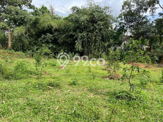LOKASI STRATEGIS! Tanah di Karanganyar, Luas 2100m2m², Lingkungan Asri, Cocok untuk Investasi LOKASI STRATEGIS! Tanah di Karanganyar, Luas 2100m2m², Lingkungan Asri, Cocok untuk Investasi