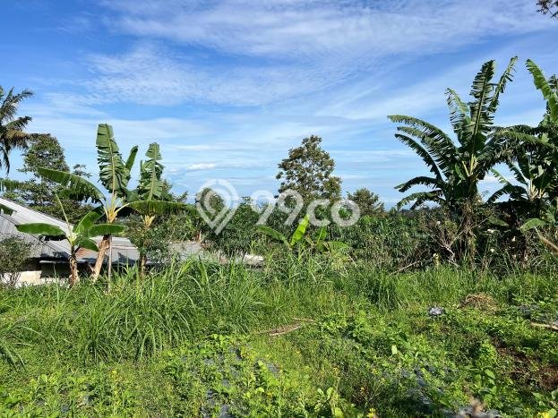 Kavling Tanah Dijual di Karangpandan Karanganyar Spesifikasi 650m2 Kavling Tanah Dijual di Karangpandan Karanganyar Spesifikasi 650m2
