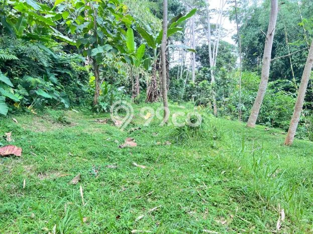 Tanah Dijual Lokasi Karangpandan, Karanganyar Luas 2528m2 Legalitas Aman Tanah Dijual Lokasi Karangpandan, Karanganyar Luas 2528m2 Legalitas Aman