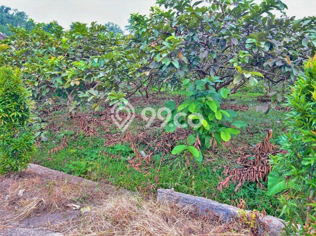 HARGA MENARIK! Tanah di Ngargoyoso, Luas 430m2m², Lingkungan Nyaman HARGA MENARIK! Tanah di Ngargoyoso, Luas 430m2m², Lingkungan Nyaman