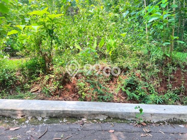 HARGA MENARIK! Tanah di Kedawung, Luas 500m², Lingkungan Asri, Bebas Banjir HARGA MENARIK! Tanah di Kedawung, Luas 500m², Lingkungan Asri, Bebas Banjir