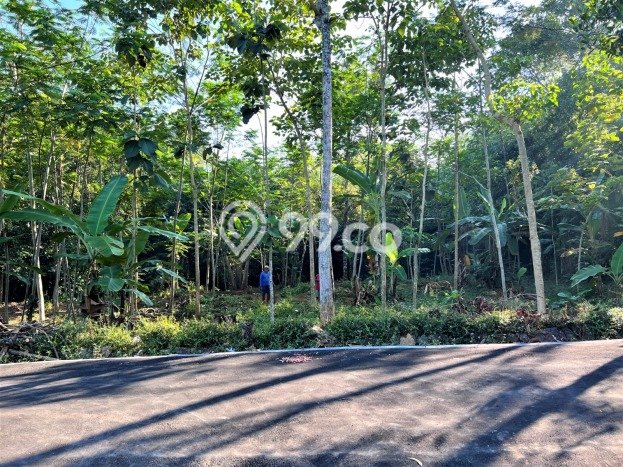 Tanah Kawasan Mojogedang, Luas 1630m2m², Dekat Mojogedang, Karanganyar, Karanganyar Tanah Kawasan Mojogedang, Luas 1630m2m², Dekat Mojogedang, Karanganyar, Karanganyar