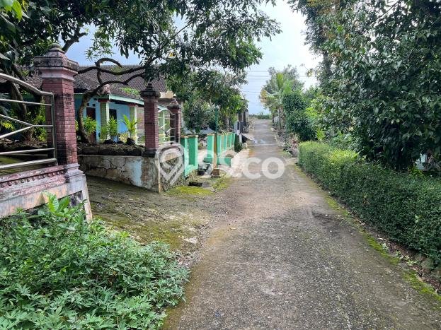 Tanah untuk Dijual Lokasi Kedawung, Sragen Luas 84m2 SHM Tanah untuk Dijual Lokasi Kedawung, Sragen Luas 84m2 SHM