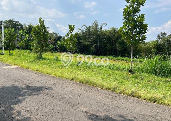 Tanah untuk Dijual Lokasi Mojogedang, Karanganyar Luas 1500m2 SHM Tanah untuk Dijual Lokasi Mojogedang, Karanganyar Luas 1500m2 SHM