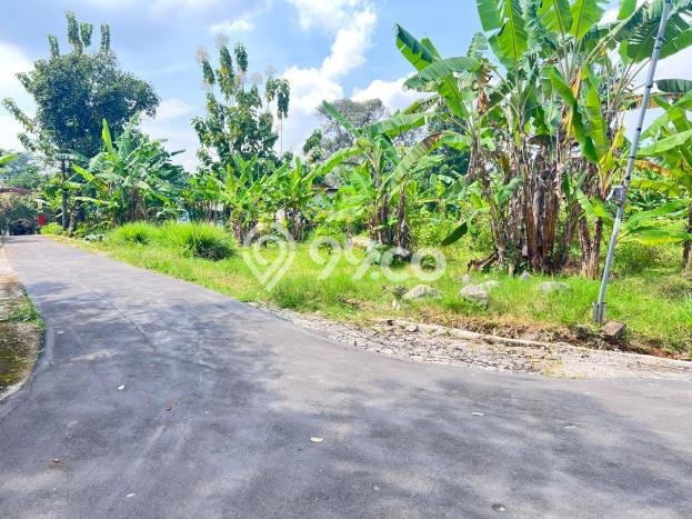 Kavling Tanah di Kerjo Dijual Luas 1300m2 Legalitas SHM Kavling Tanah di Kerjo Dijual Luas 1300m2 Legalitas SHM