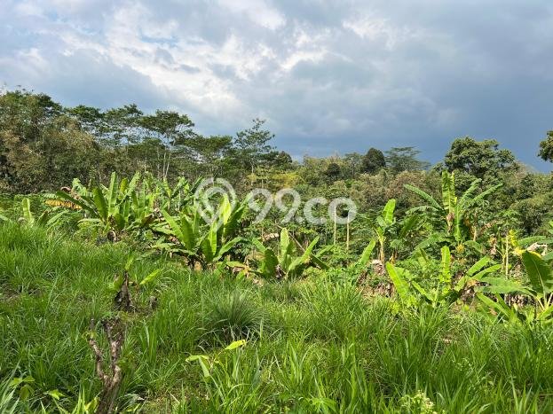 HARGA MENARIK! Tanah di Mojogedang, Luas 2242m², Area Nyaman HARGA MENARIK! Tanah di Mojogedang, Luas 2242m², Area Nyaman