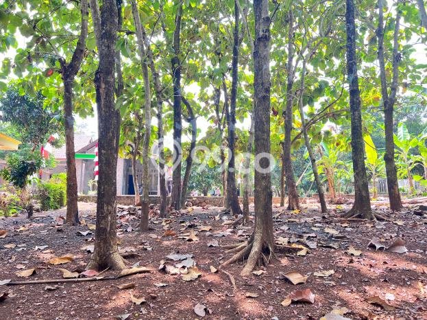 HARGA TERBAIK! Tanah di Kedawung, Luas 775m², Lokasi Strategis HARGA TERBAIK! Tanah di Kedawung, Luas 775m², Lokasi Strategis