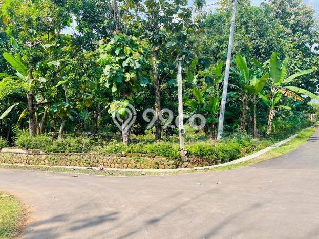 Kavling Tanah di Mojogedang Dijual Luas 1700m2 Legalitas SHM Kavling Tanah di Mojogedang Dijual Luas 1700m2 Legalitas SHM