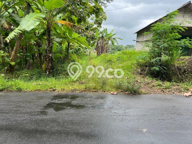 Tanah Dijual Lokasi Karanganyar, Solo dengan Luas Tanah 3400m2 dan Status SHM Tanah Dijual Lokasi Karanganyar, Solo dengan Luas Tanah 3400m2 dan Status SHM