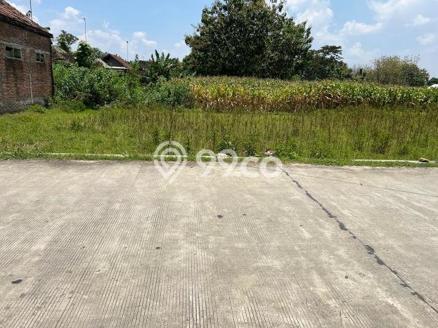 Lahan Investasi Lokasi Sragen Sragen SHM Lahan Investasi Lokasi Sragen Sragen SHM
