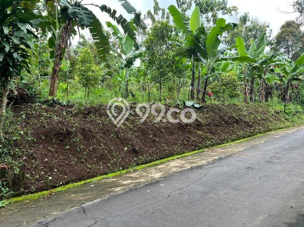 Lahan Strategis di Kerjo Dijual dengan Luas 700m2 Lahan Strategis di Kerjo Dijual dengan Luas 700m2
