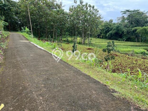 Tanah di Kerjo, Karanganyar Luas 1100m2 Dijual Segera Tanah di Kerjo, Karanganyar Luas 1100m2 Dijual Segera