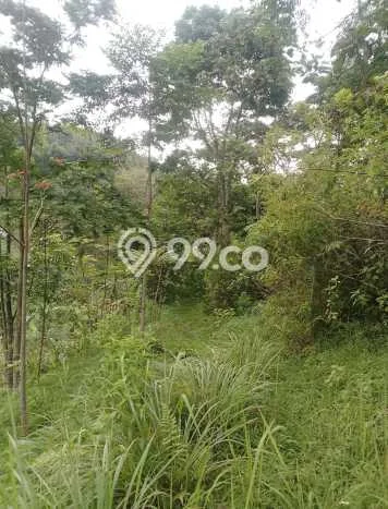 Tanah di Karanganyar, Karanganyar Luas 1040m2 Dijual Segera Tanah di Karanganyar, Karanganyar Luas 1040m2 Dijual Segera