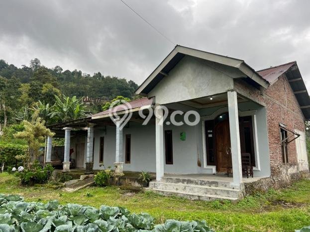 Rumah Modern Cantik 3 Kamar Siap Huni di Ngargoyoso Rumah Modern Cantik 3 Kamar Siap Huni di Ngargoyoso