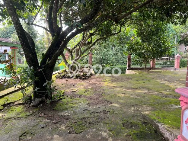 Tanah untuk Dijual Lokasi Kedawung, Sragen Luas 84m2 SHM Tanah untuk Dijual Lokasi Kedawung, Sragen Luas 84m2 SHM
