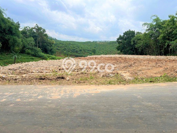 Dijual Tanah Lokasi Prima di Mojogedang, Luas 1685m², Dekat Mojogedang, Karanganyar, Karanganyar Dijual Tanah Lokasi Prima di Mojogedang, Luas 1685m², Dekat Mojogedang, Karanganyar, Karanganyar